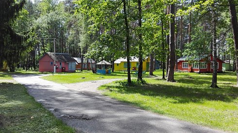 Летняя оздоровительная кампания пройдет в новом формате